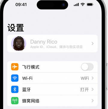 宜黄appleID维修服务iPhone设置中Apple ID显示为灰色无法使用