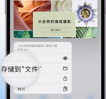 宜黄apple维修中心分享iPhone文件应用中存储和找到下载文件