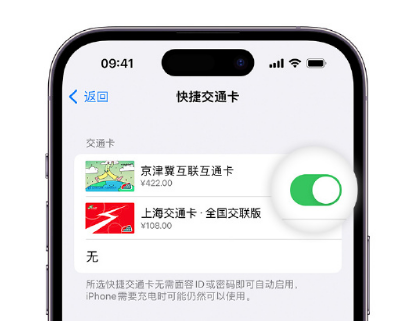 宜黄apple维修点分享iPhone上更换Apple Pay快捷交通卡手绘卡面 