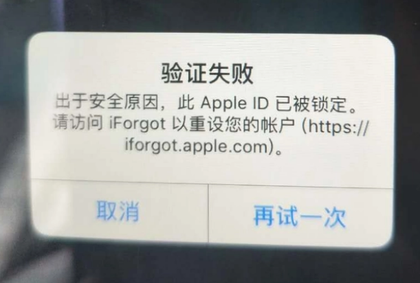 宜黄iPhone维修分享iPhone上正常登录或使用AppleID怎么办 