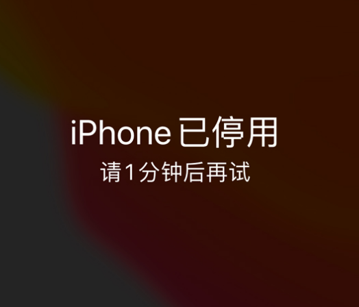 宜黄苹果手机维修分享:iPhone 显示“不可用”或“已停用”怎么办？还能保留数据吗？ 