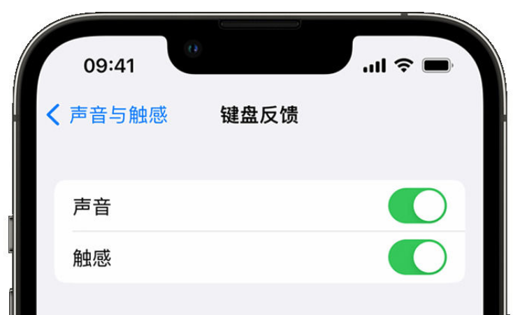 宜黄苹果手机维修分享iPhone 14触感键盘使用方法 