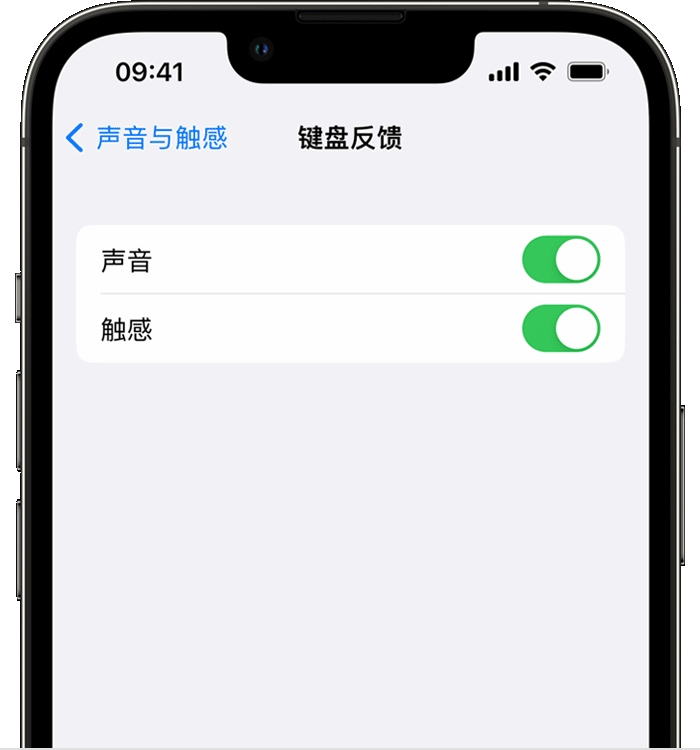 宜黄苹果14维修店分享如何在 iPhone 14 机型中使用触感键盘 