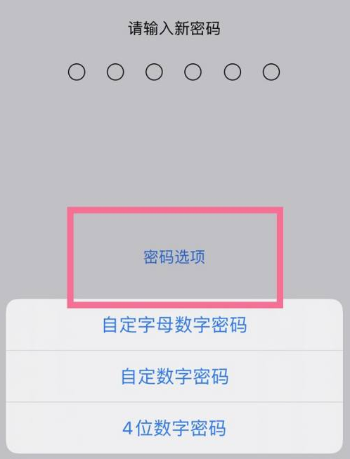 宜黄苹果14维修分享iPhone 14plus设置密码的方法 