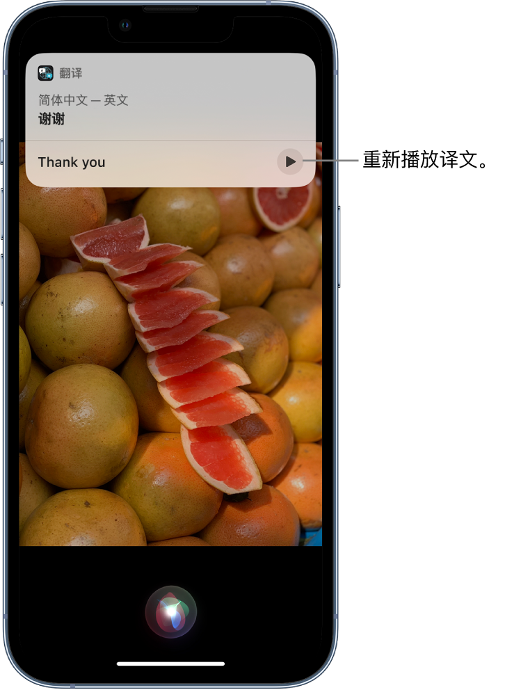 宜黄苹果14维修分享 iPhone 14 机型中使用 Siri：了解 Siri 能帮你做什么 