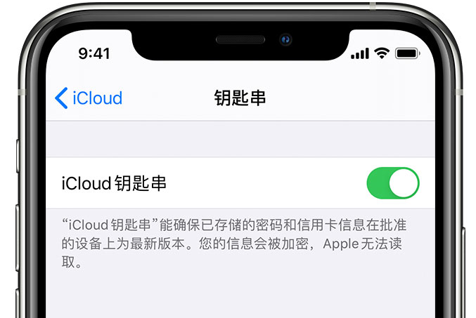 宜黄苹果手机维修分享在 iPhone 上开启 iCloud 钥匙串之后会储存哪些信息 